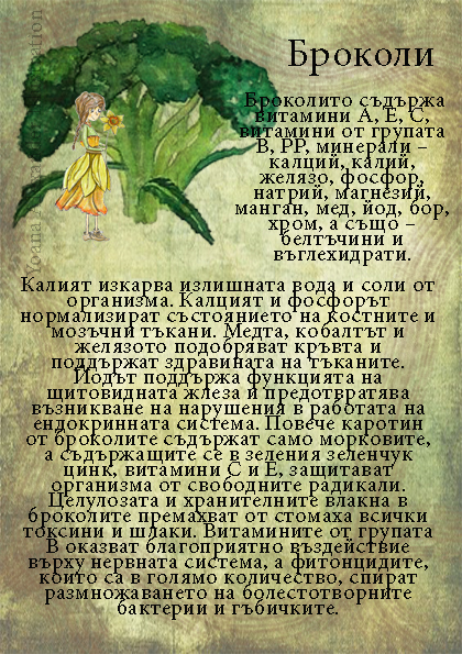 https://yonelart.com/wp-content/uploads/2022/04/Brokoli.jpg