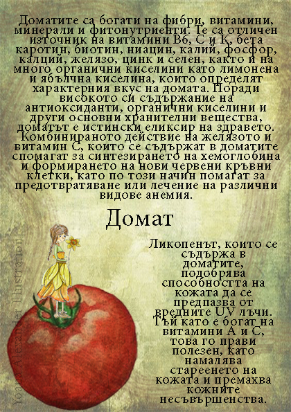 https://yonelart.com/wp-content/uploads/2022/04/domat.jpg