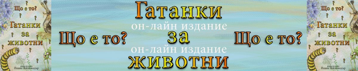 Гатанки за животни с илюстрациите на Йоана Александър.