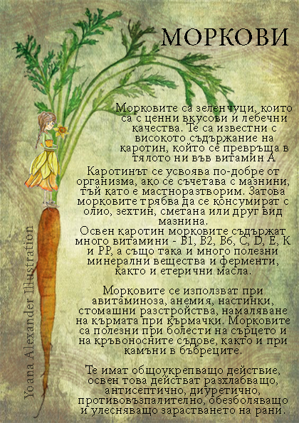 https://yonelart.com/wp-content/uploads/2022/04/morkov.jpg