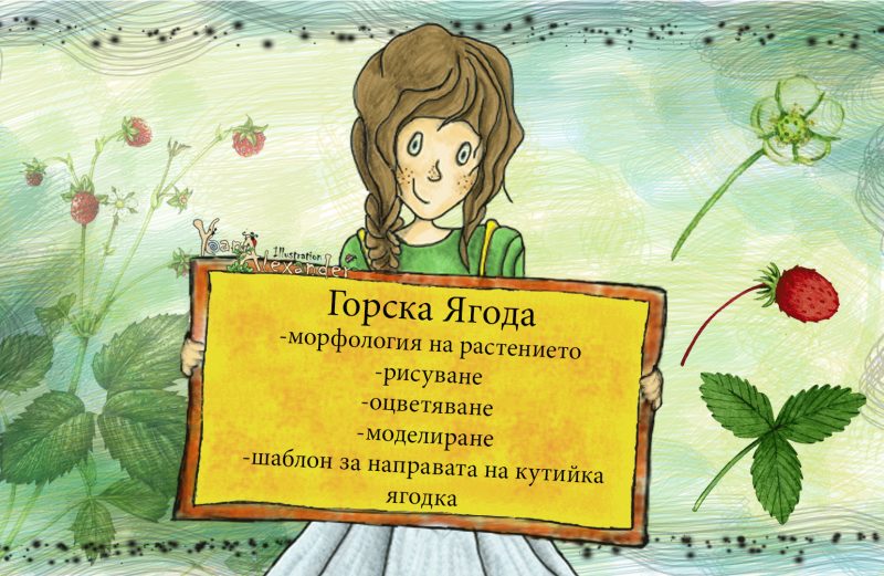 Дива ягода - морфология, урок по рисуване, апликиране, моделиране, шаблон на подаръчна кутийка.