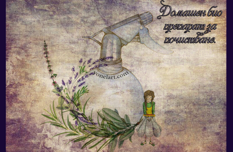 Homemade organic cleaning spray