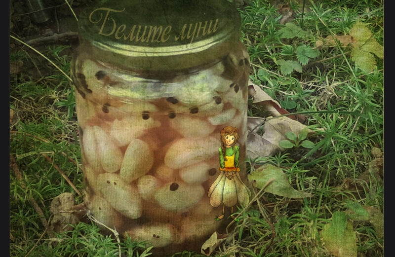 Kids'Pickles "White moon". A delicious hommade recipe with love
