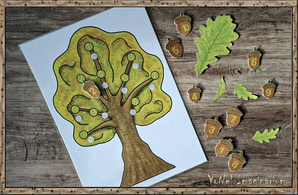 Children match numbered acorns to the same numbers on the tree board, practicing counting and number recognition through play in Ham’s forest math set