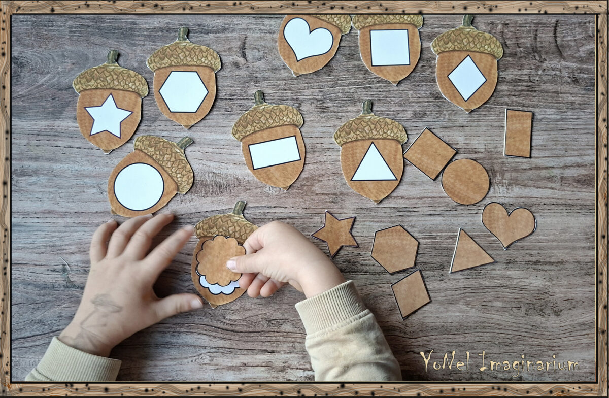 Child matching shapes by placing acorn cards onto the correct shape spaces in a forest-themed play-based learning set